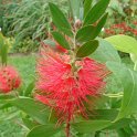 Picasa 2.7